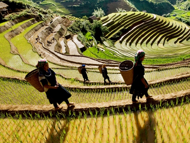 Sapa Trek Tour 8 Day